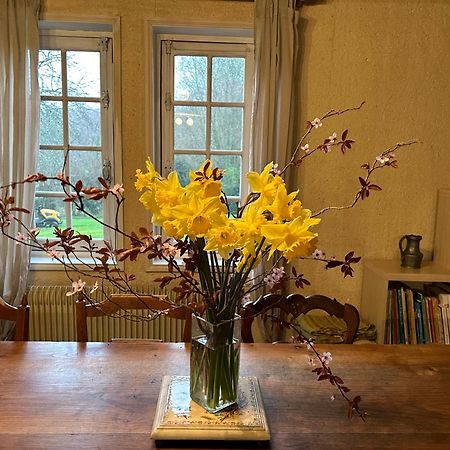Les Hortensias Manerbe Eksteriør bilde